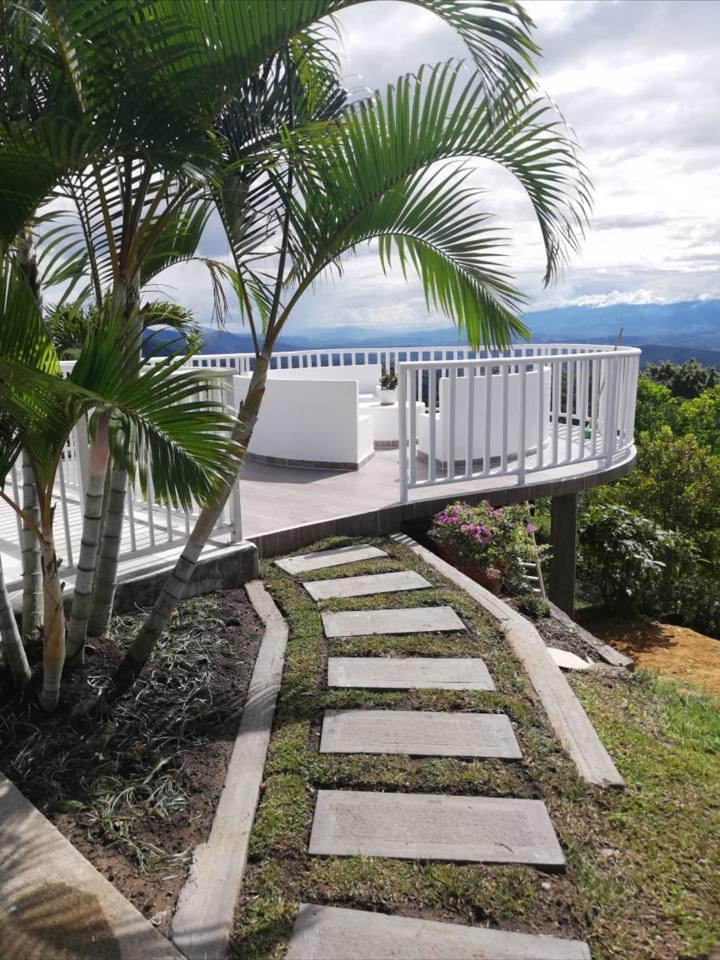 Mirador con palmeras y vista al valle