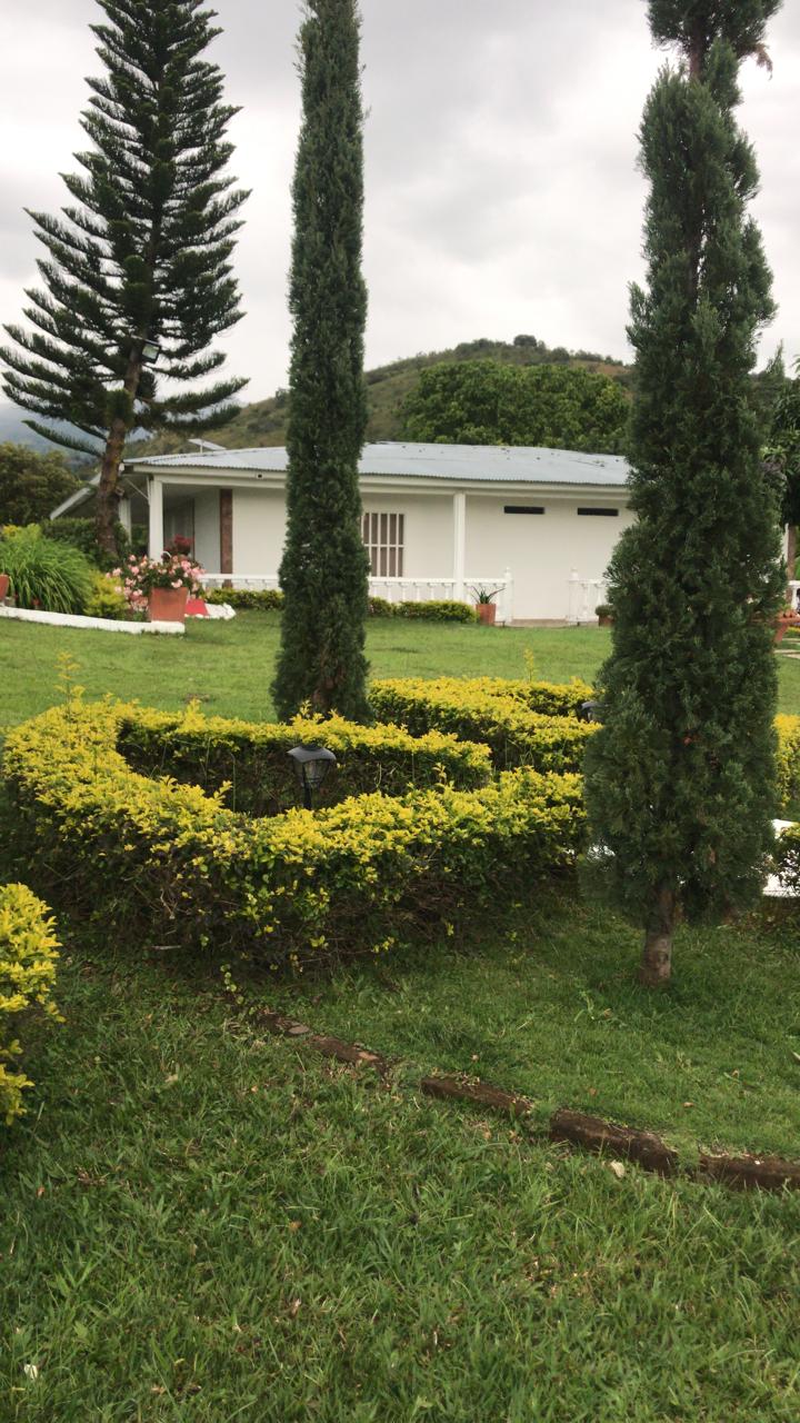Jardines con coníferas y casa principal de fondo
